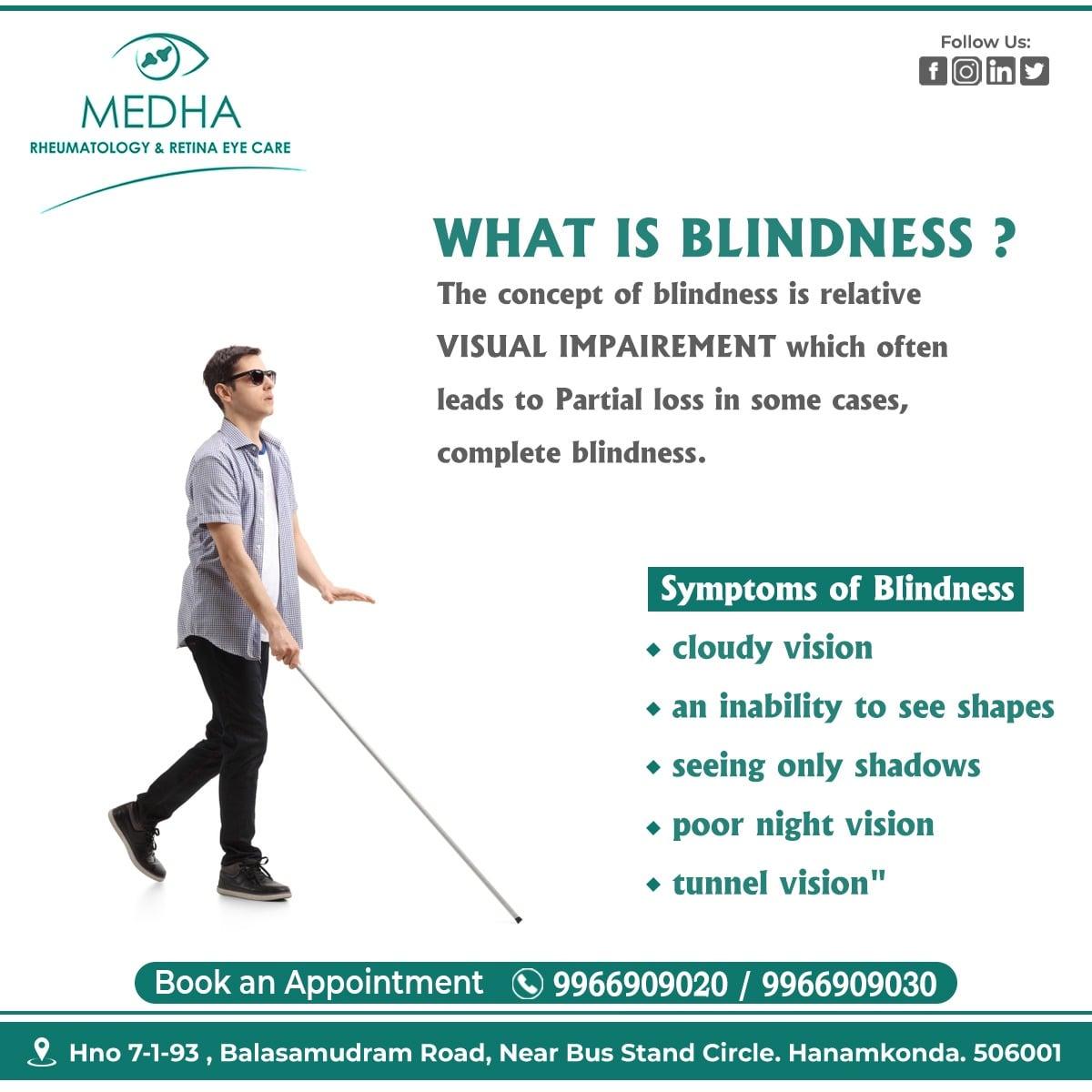 What Is Blindness ?